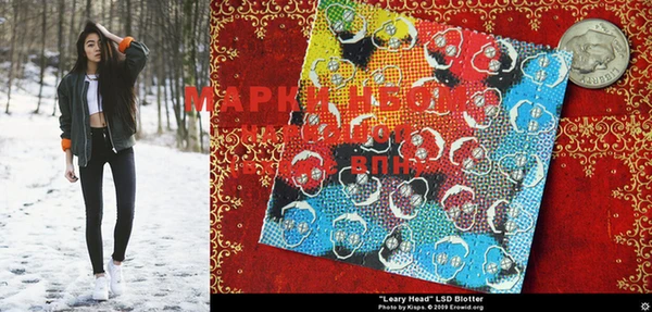 соль курить ск Нея